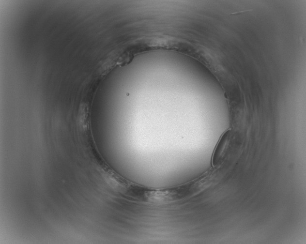 X0000073970273200609051853