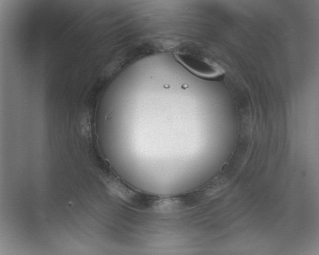 X0000073970274200609051853