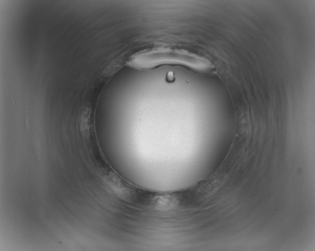 X0000073970275200609051853