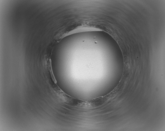 X0000073970276200609051853