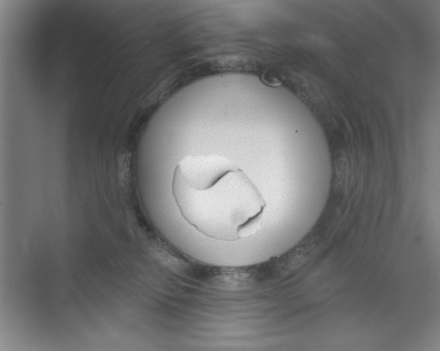 X0000073970278200609051853