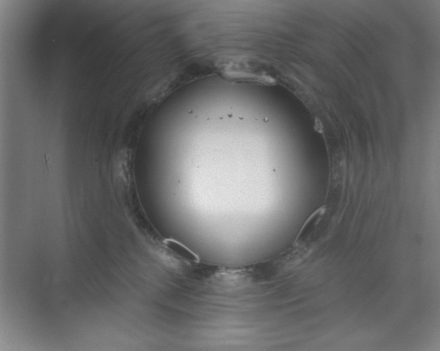 X0000073970280200609051853