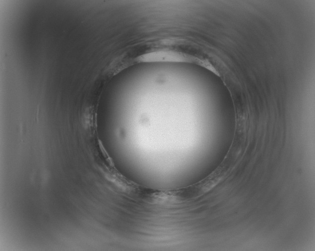 X0000073970284200609051853