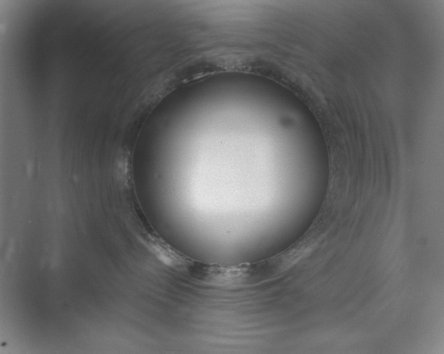 X0000073970288200609051853