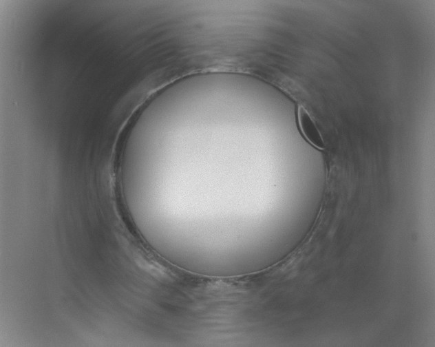 X0000073970290200609051852