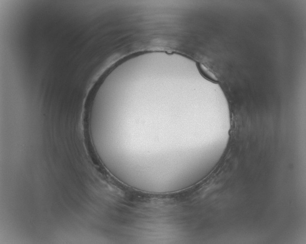 X0000073970292200609051852