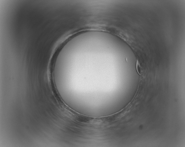 X0000073970294200609051852