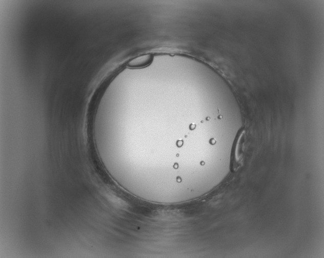 X0000073970296200609051852