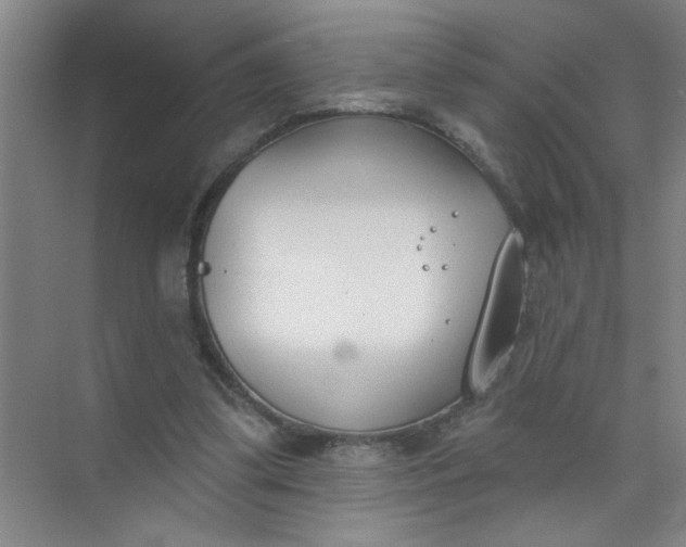 X0000073970299200609051852