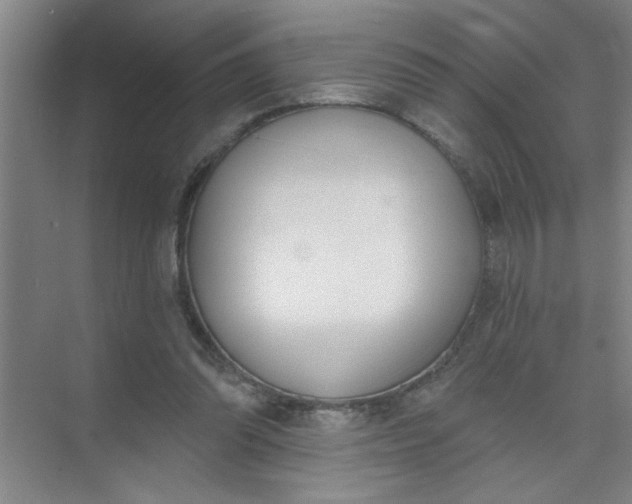 X0000073970302200609051852