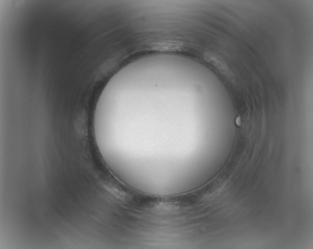 X0000073970303200609051852