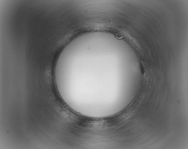 X0000073970306200609051852