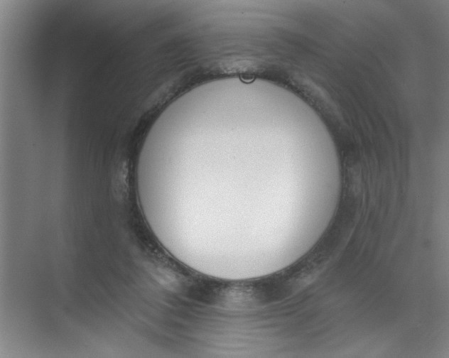 X0000073970308200609051852