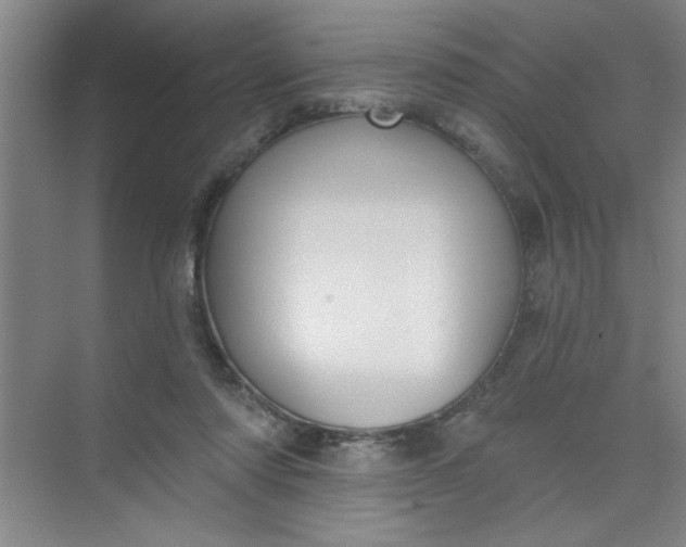 X0000073970310200609051852