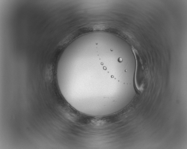 X0000073970311200609051852