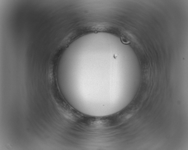 X0000073970312200609051852