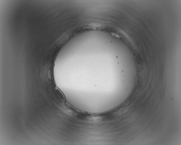 X0000073970313200609051852