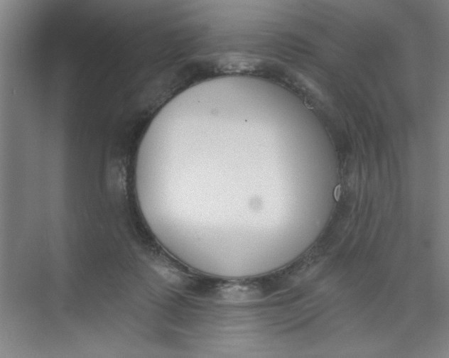 X0000073970315200609051852