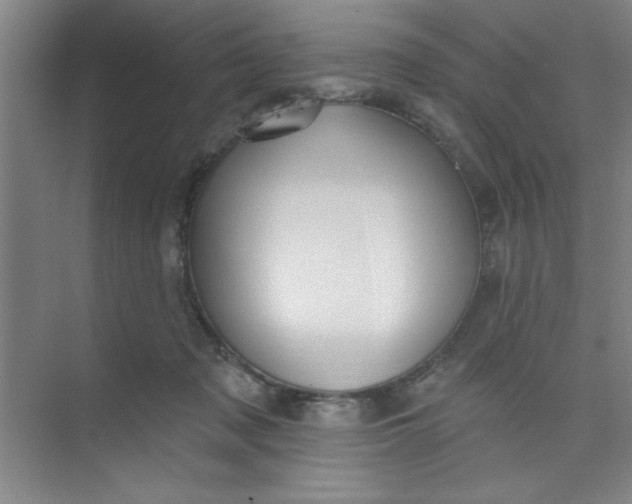 X0000073970317200609051852