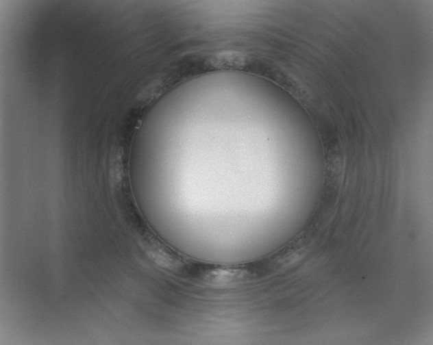 X0000073970323200609051852