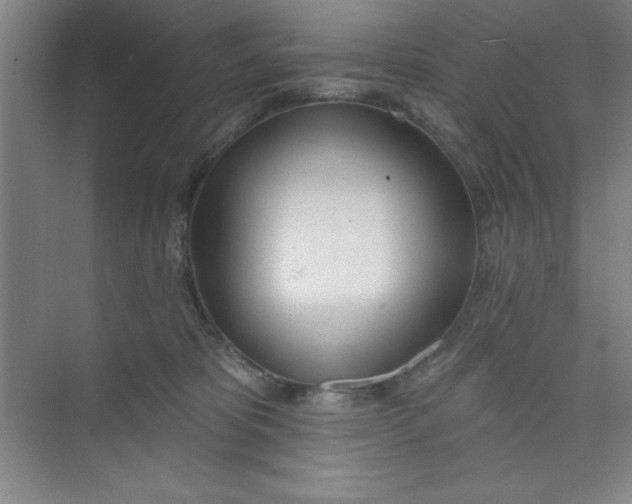 X0000073970325200609051852