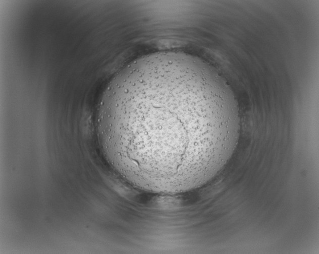 X0000073970327200609051852