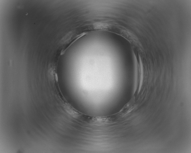 X0000073970329200609051852