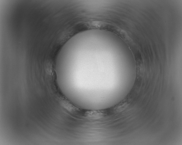 X0000073970331200609051852