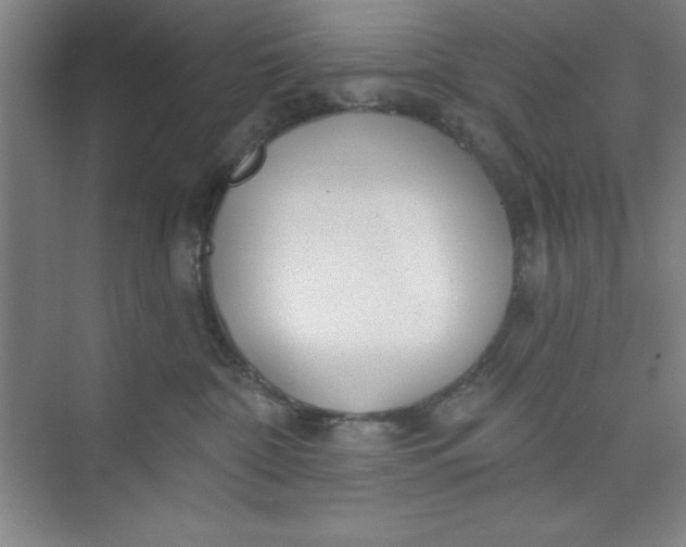 X0000073970332200609051852