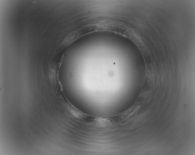 X0000073970333200609051851