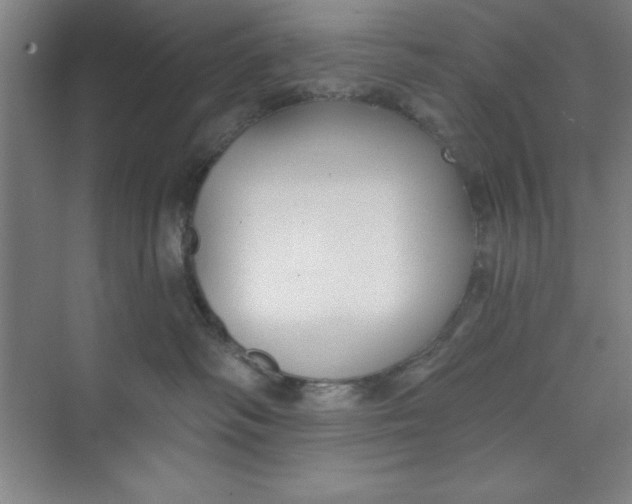 X0000073970334200609051851