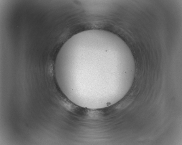 X0000073970336200609051851