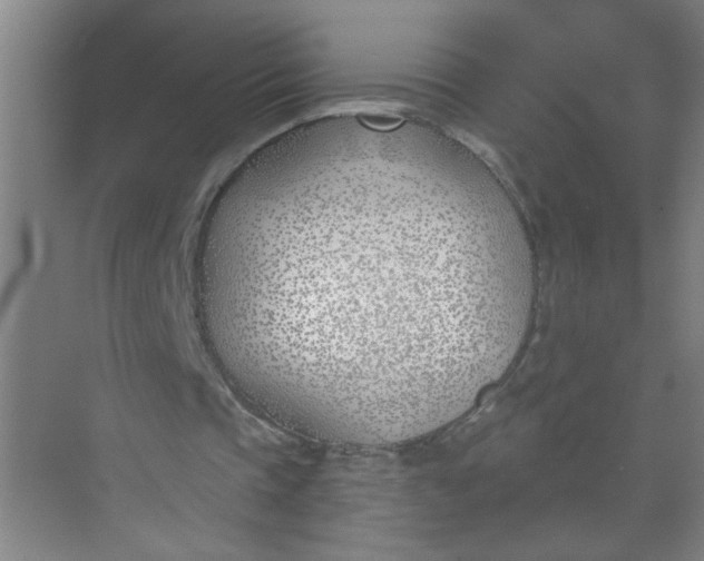 X0000073970337200609051851