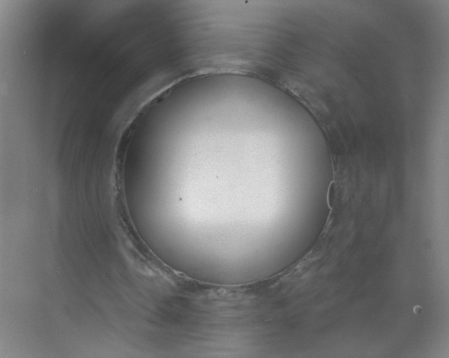 X0000073970338200609051851