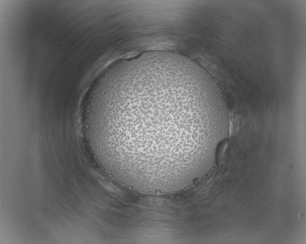 X0000073970339200609051851