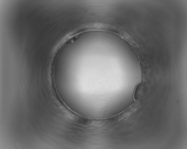 X0000073970341200609051851