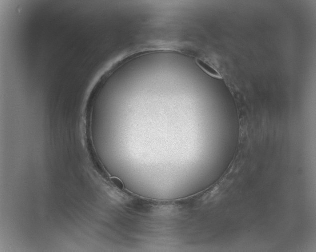 X0000073970342200609051851