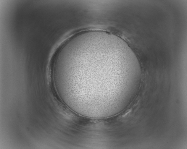 X0000073970343200609051851