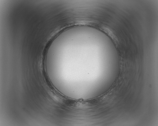 X0000073970346200609051851