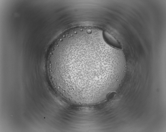 X0000073970347200609051851