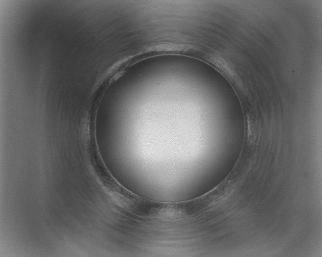 X0000073970348200609051851