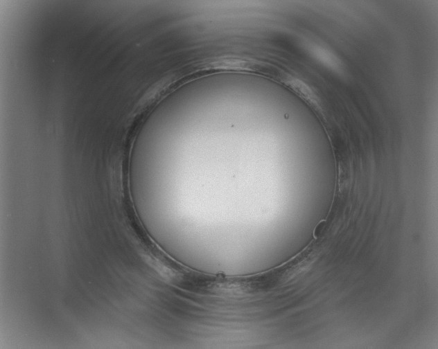 X0000073970349200609051851