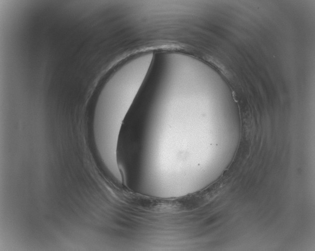 X0000073970350200609051851