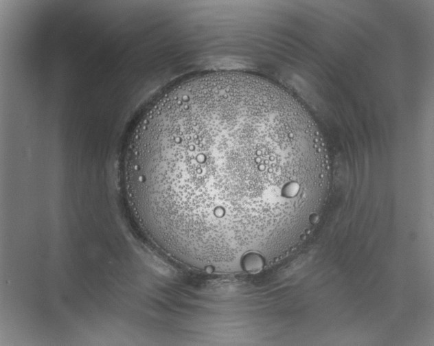 X0000073970351200609051851