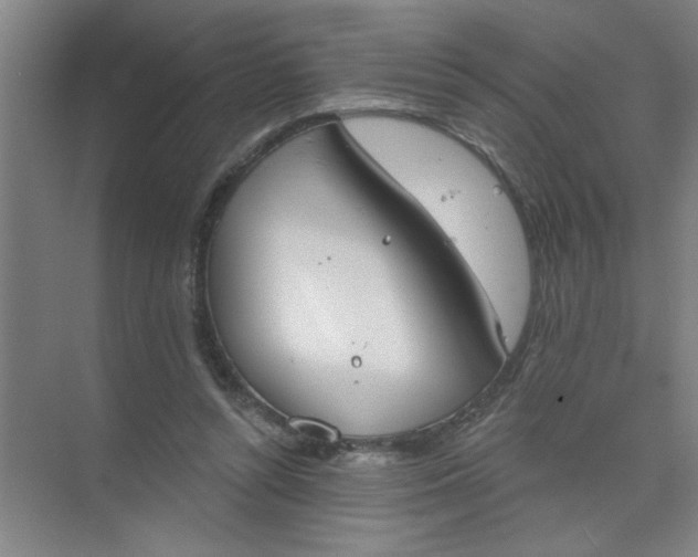 X0000073970352200609051851