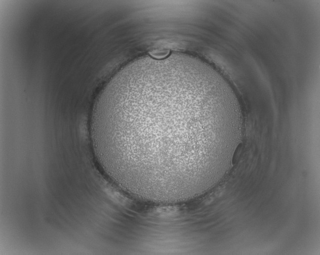 X0000073970353200609051851