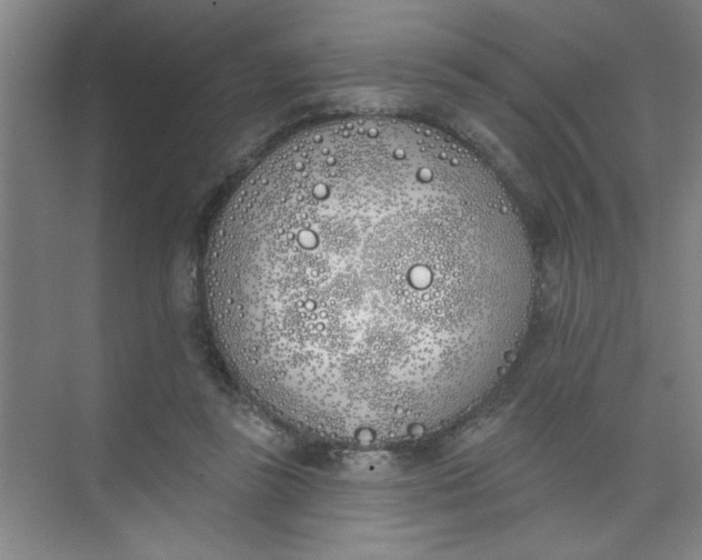 X0000073970355200609051851