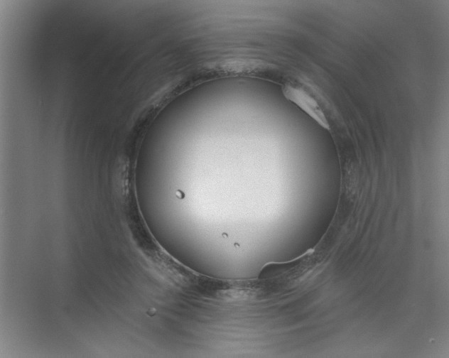 X0000073970356200609051851