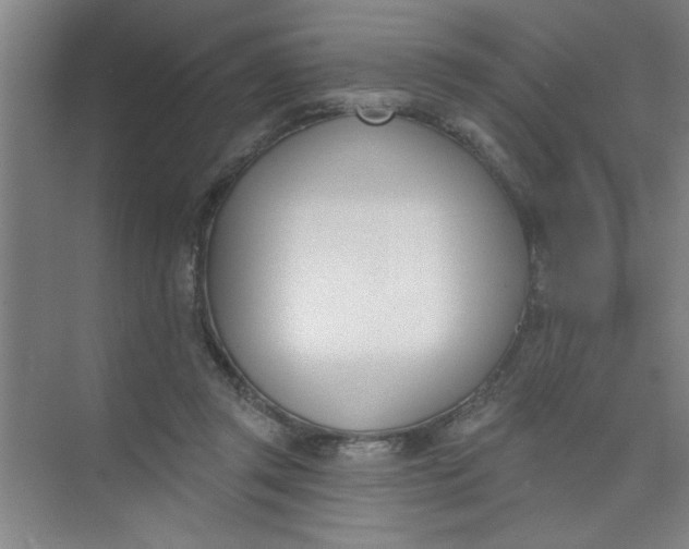 X0000073970357200609051851