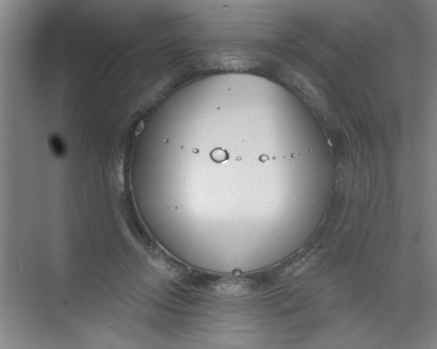 X0000073970358200609051851